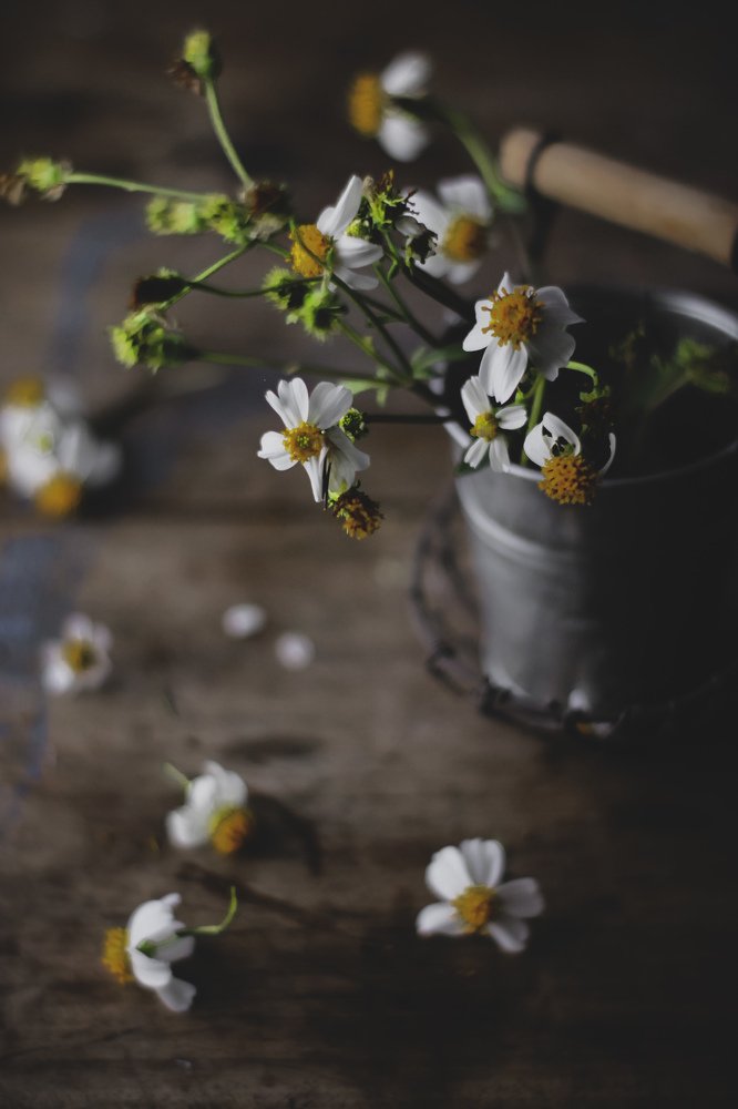 Photograph by Treesnawaty Rahim