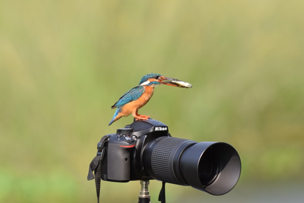 Photograph by Haseebuddin Siddique