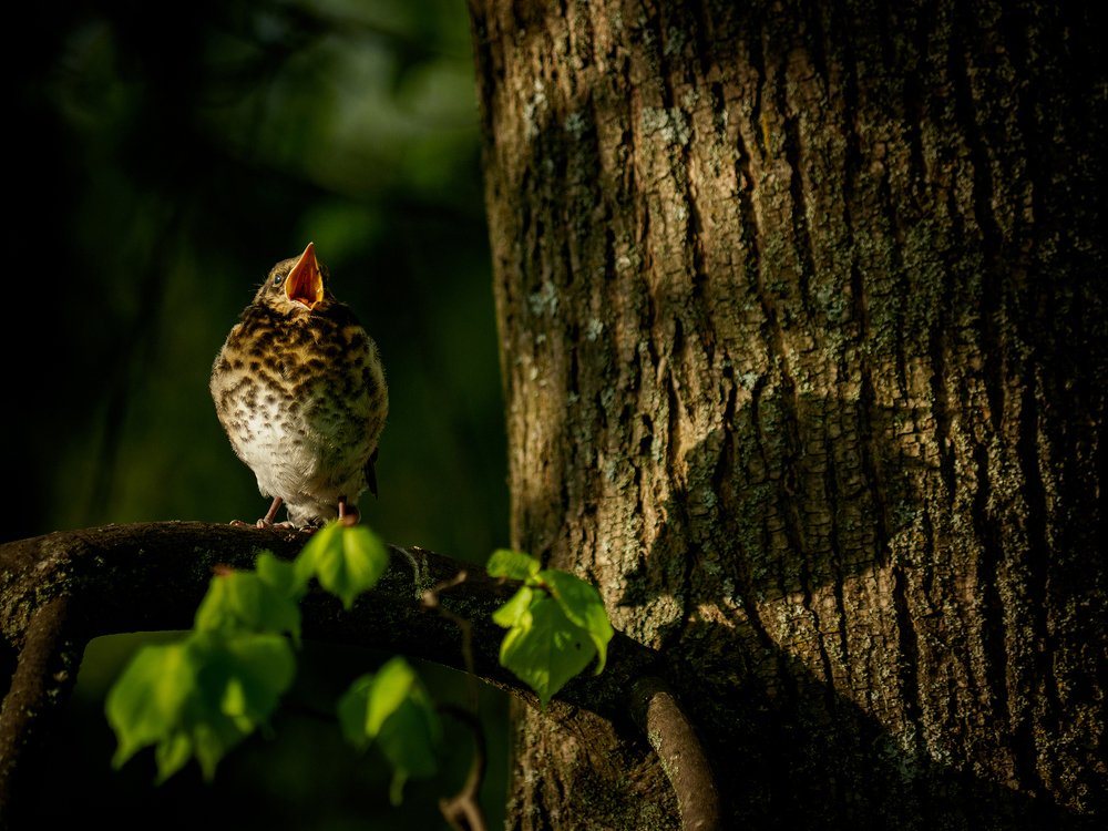Photograph by Александр Губарев