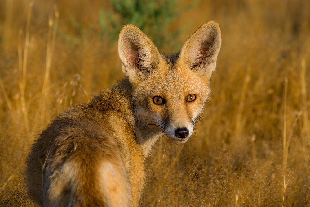 Photograph by Vahid Yavari