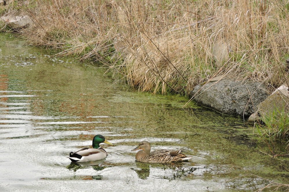 Photograph by Ольга Калачкина