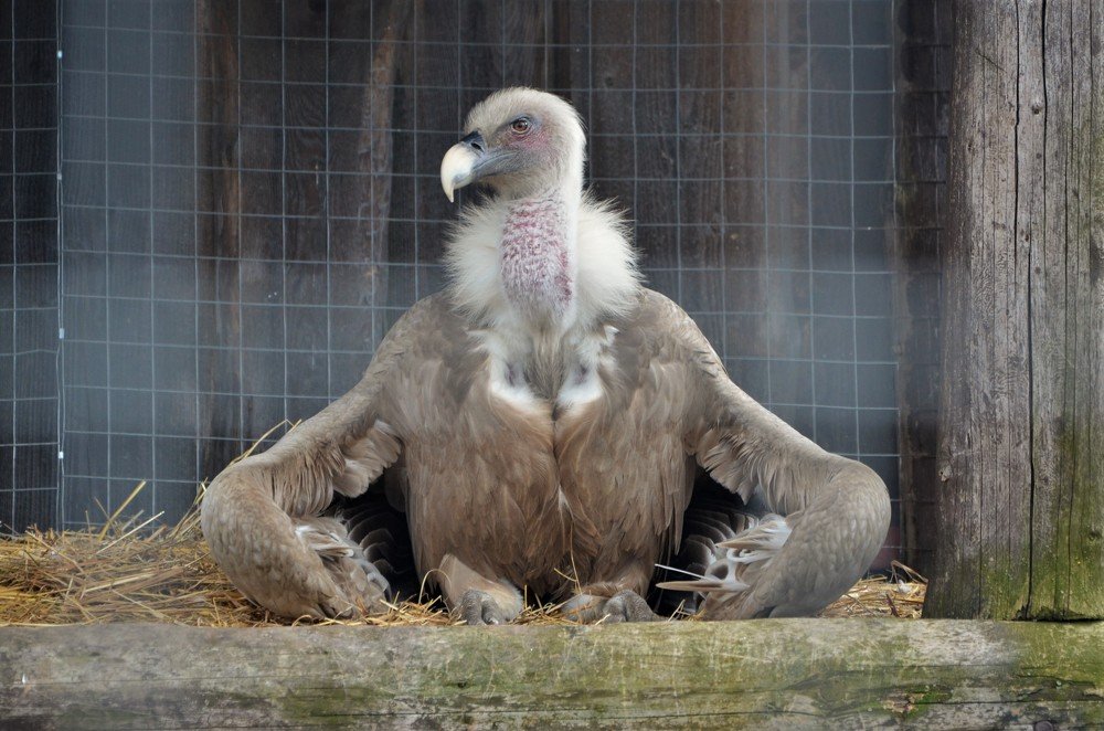 Photograph by Андрей Телибаев