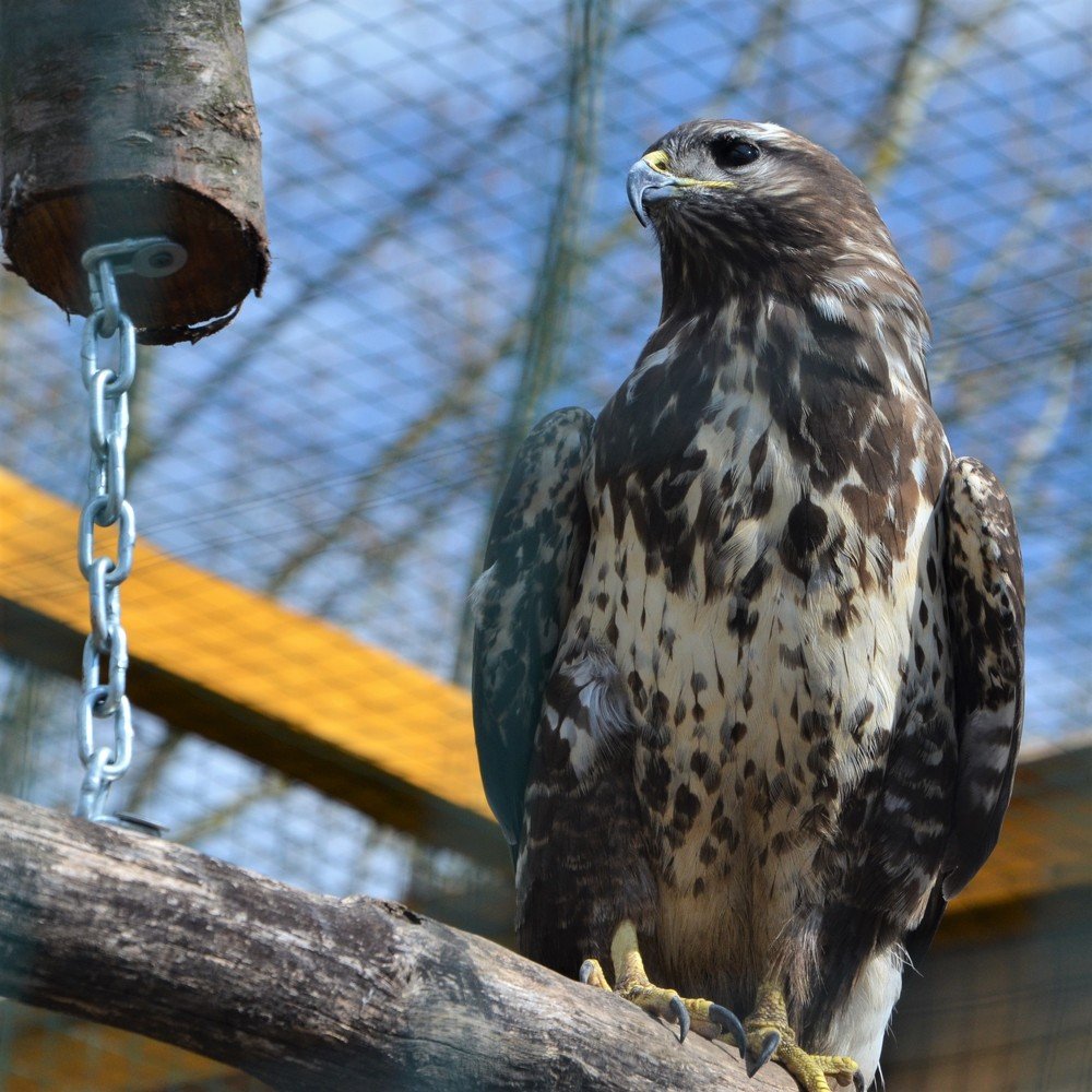 Photograph by Андрей Телибаев