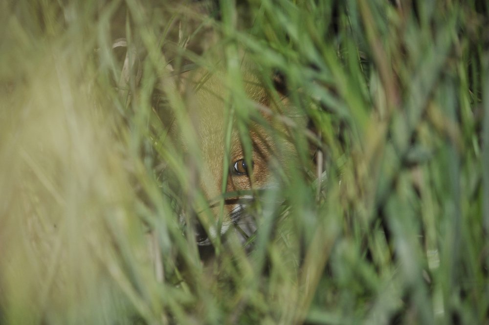 Photograph by Виталий Пилипенко