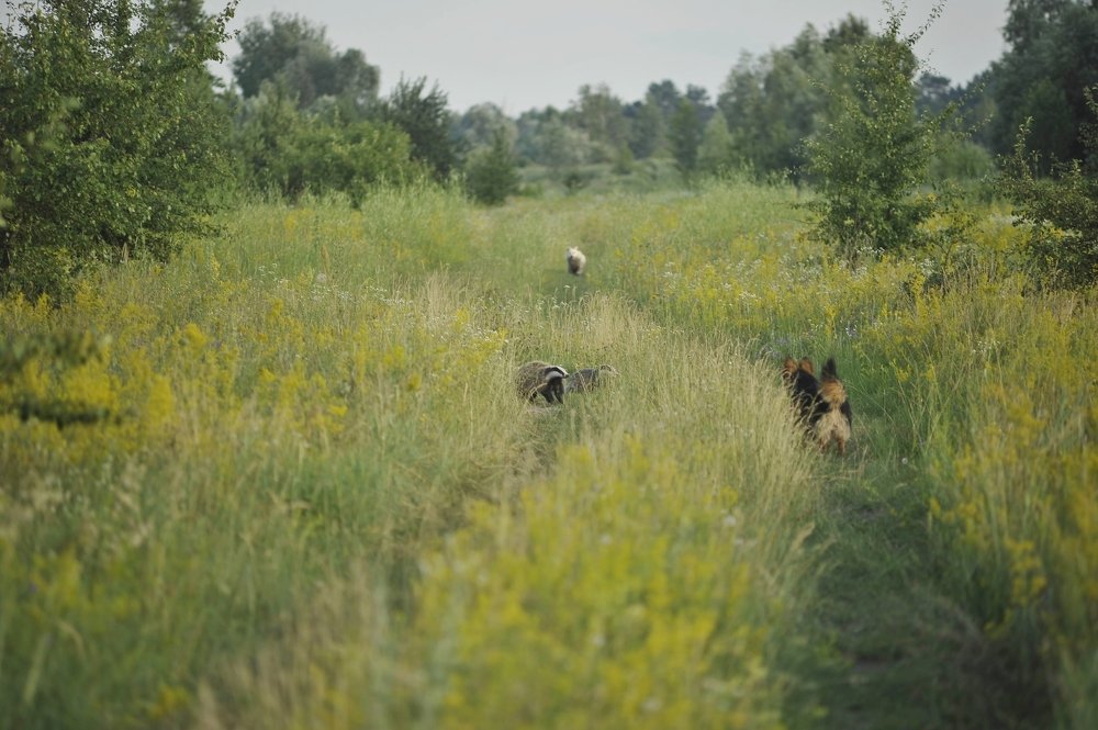 Photograph by Виталий Пилипенко