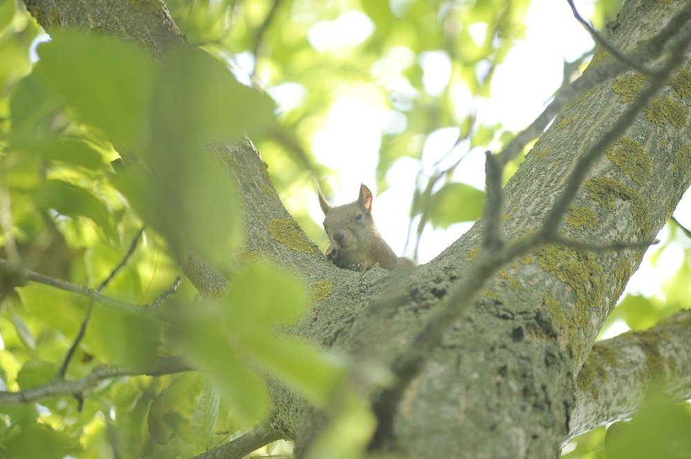 Photograph by Виталий Пилипенко