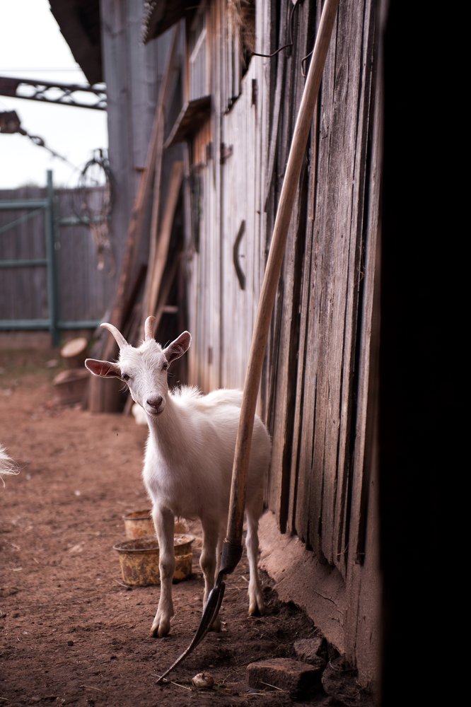 Photograph by Ольга Калачкина