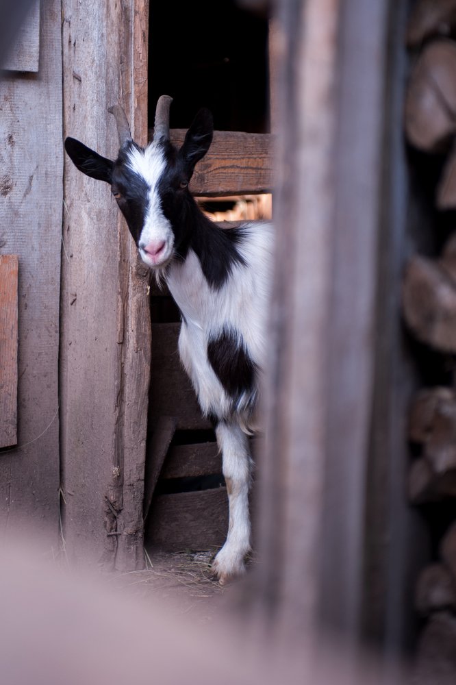 Photograph by Ольга Калачкина