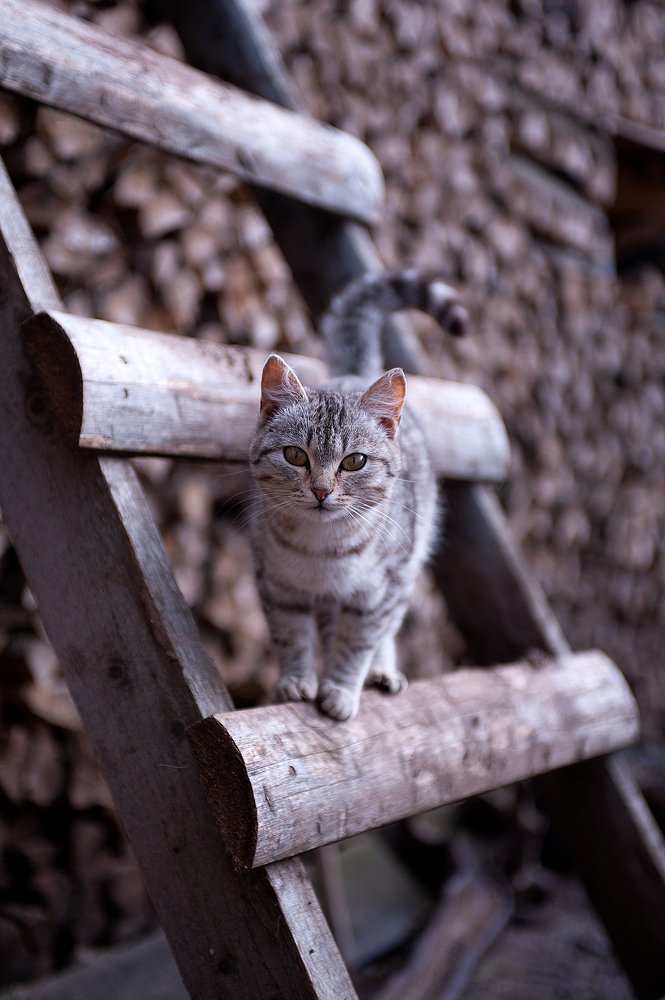 Photograph by Ольга Калачкина