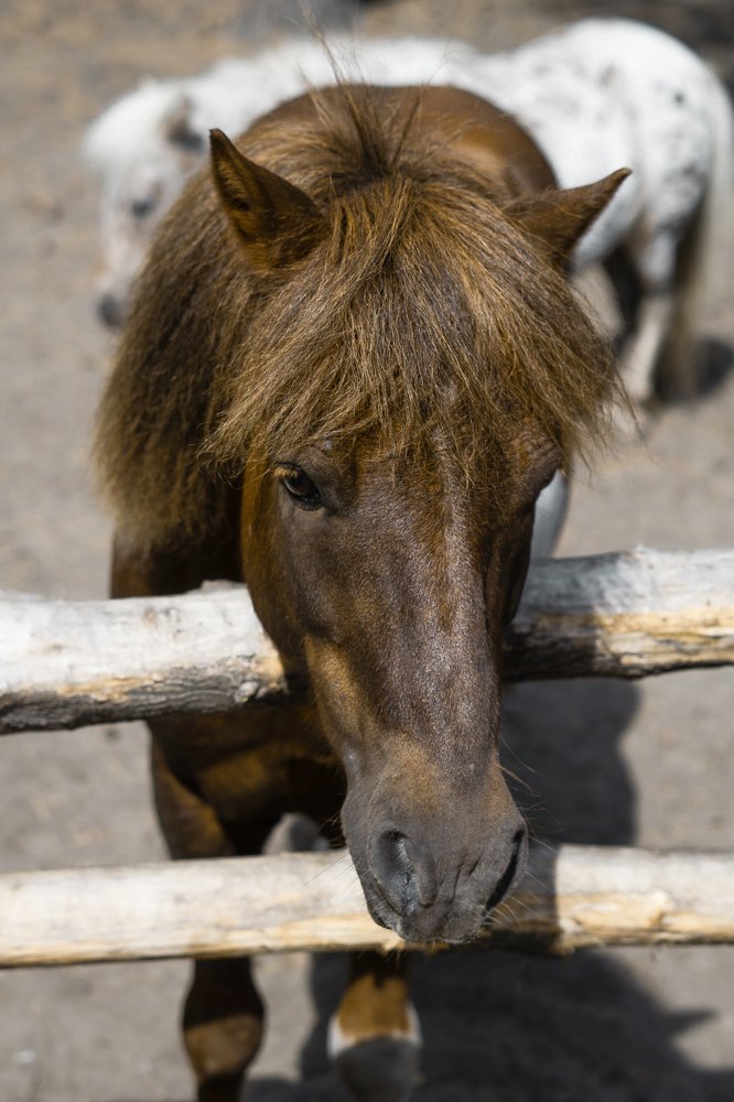 Photograph by Ольга Беспалько