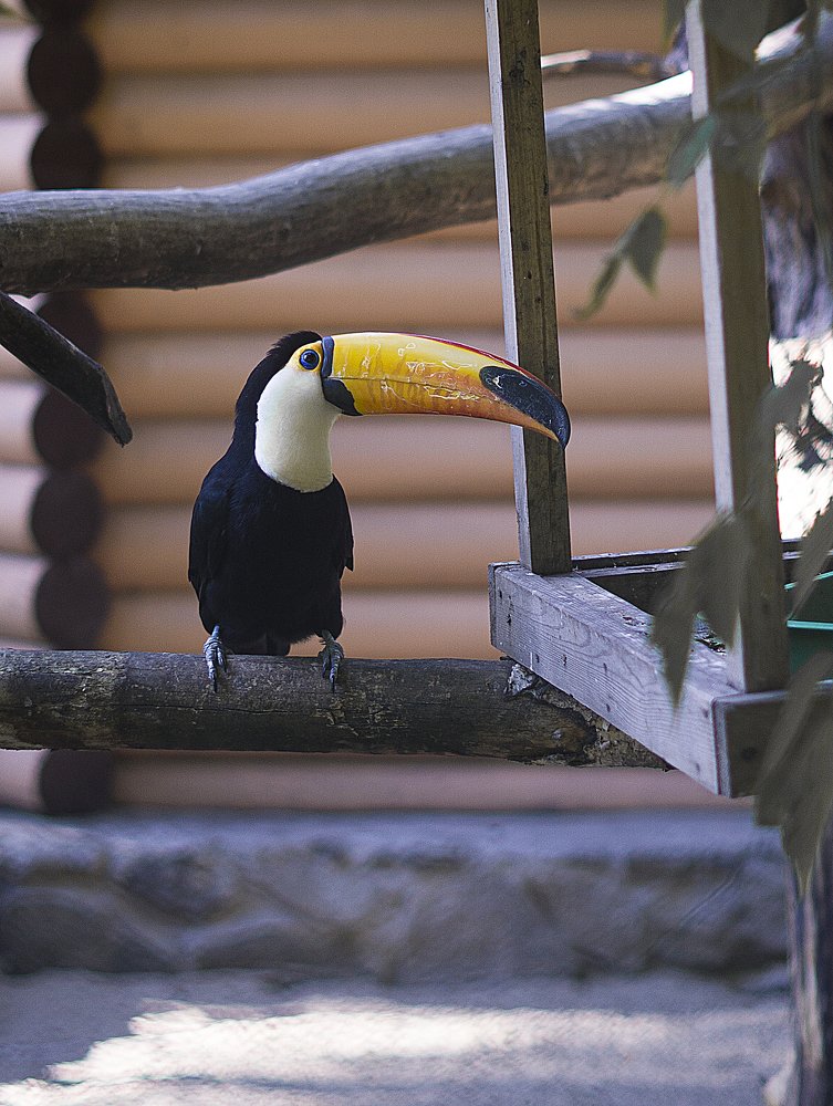 Photograph by Ольга Беспалько