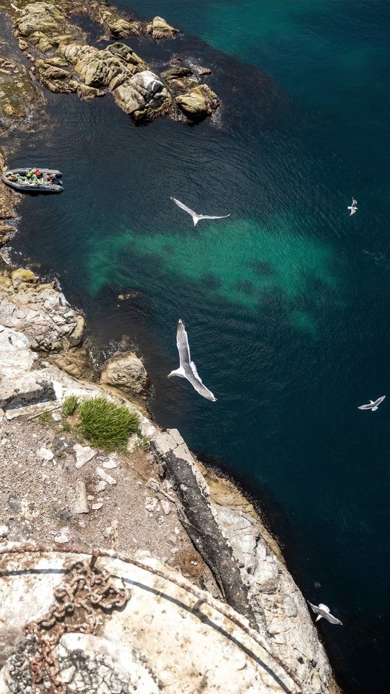 Фотография автора Дмитрий Эбингер