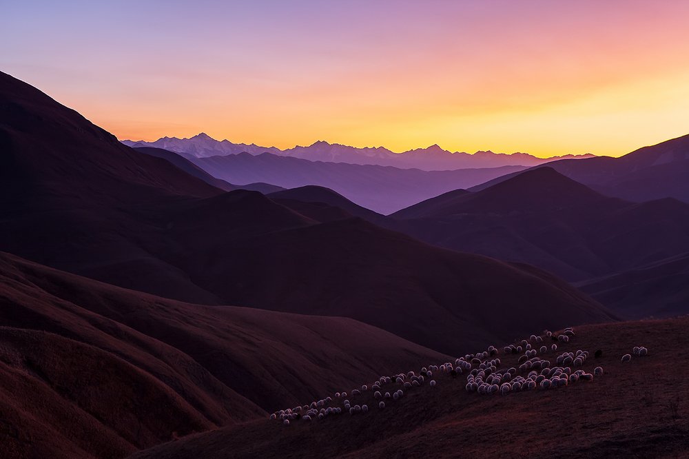 Фотография автора Юрий Сорокин
