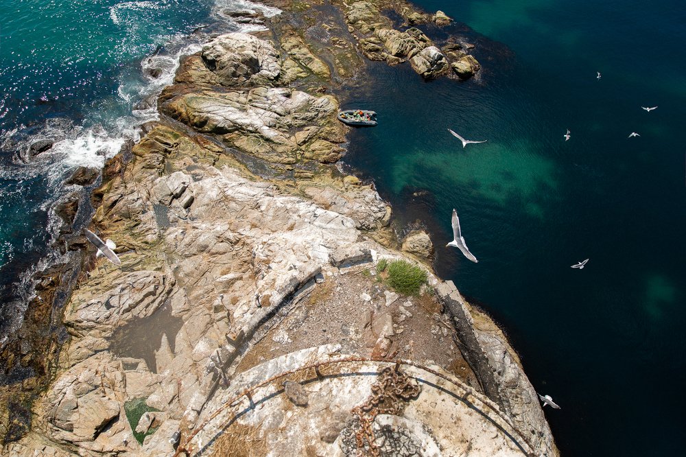 Фотография автора Дмитрий Эбингер