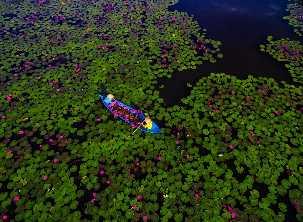 Photograph by Duong Le Thai