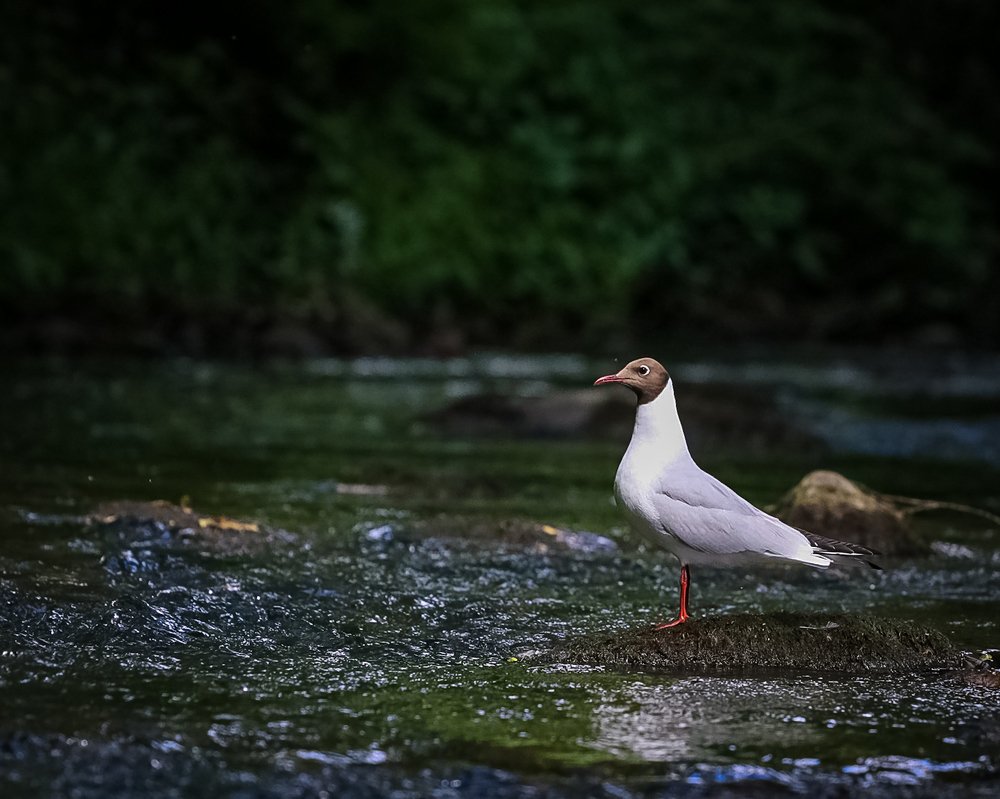 Photograph by Anna Sindikayeva