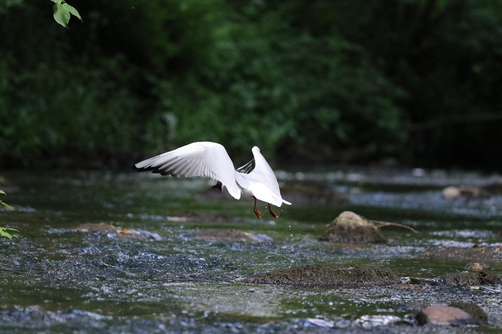 Photograph by Anna Sindikayeva