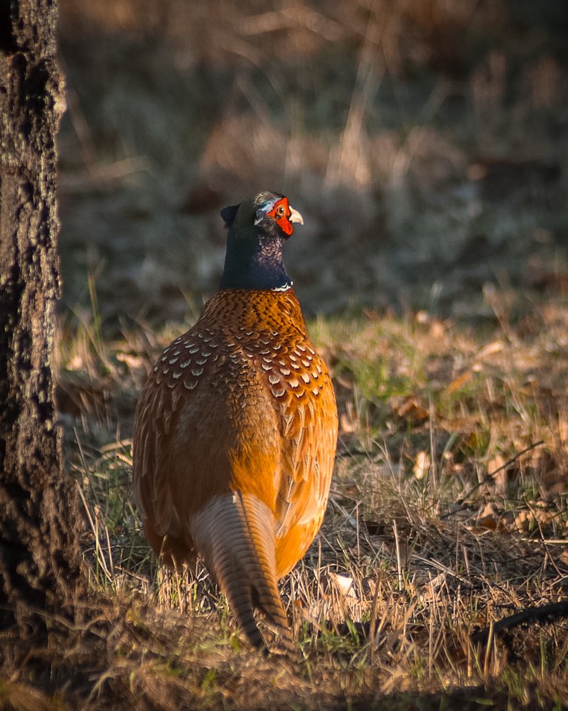Photograph by Anna Sindikayeva