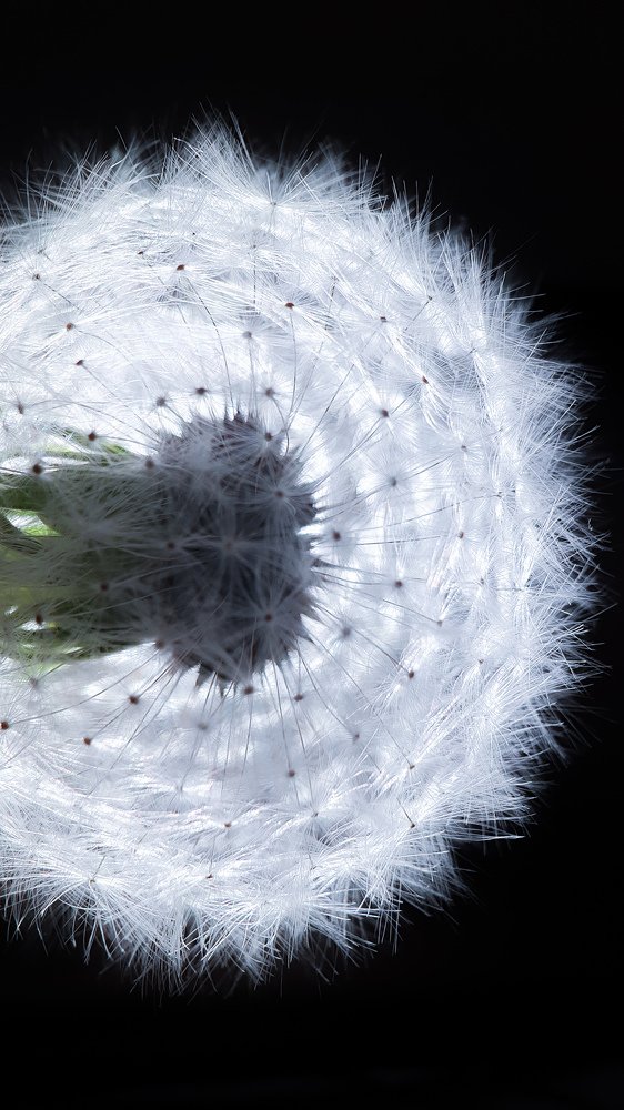 Photograph by Татьяна Галкина