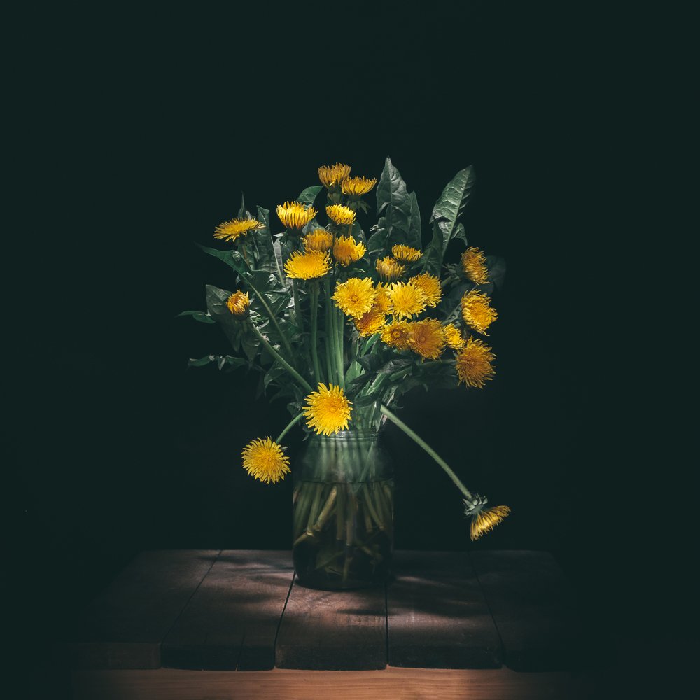 Одуванчики