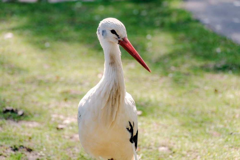 Photograph by Дмитрий Захаров