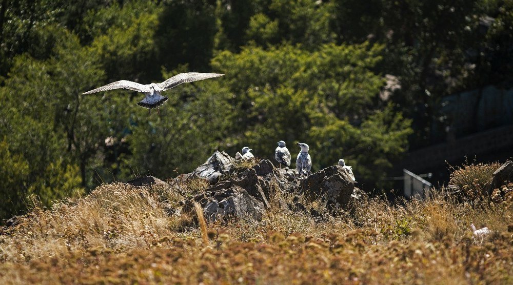 Photograph by Дмитрий Захаров