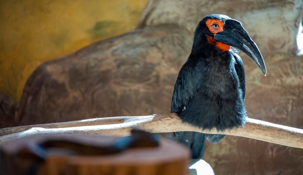 Photograph by Дмитрий Захаров