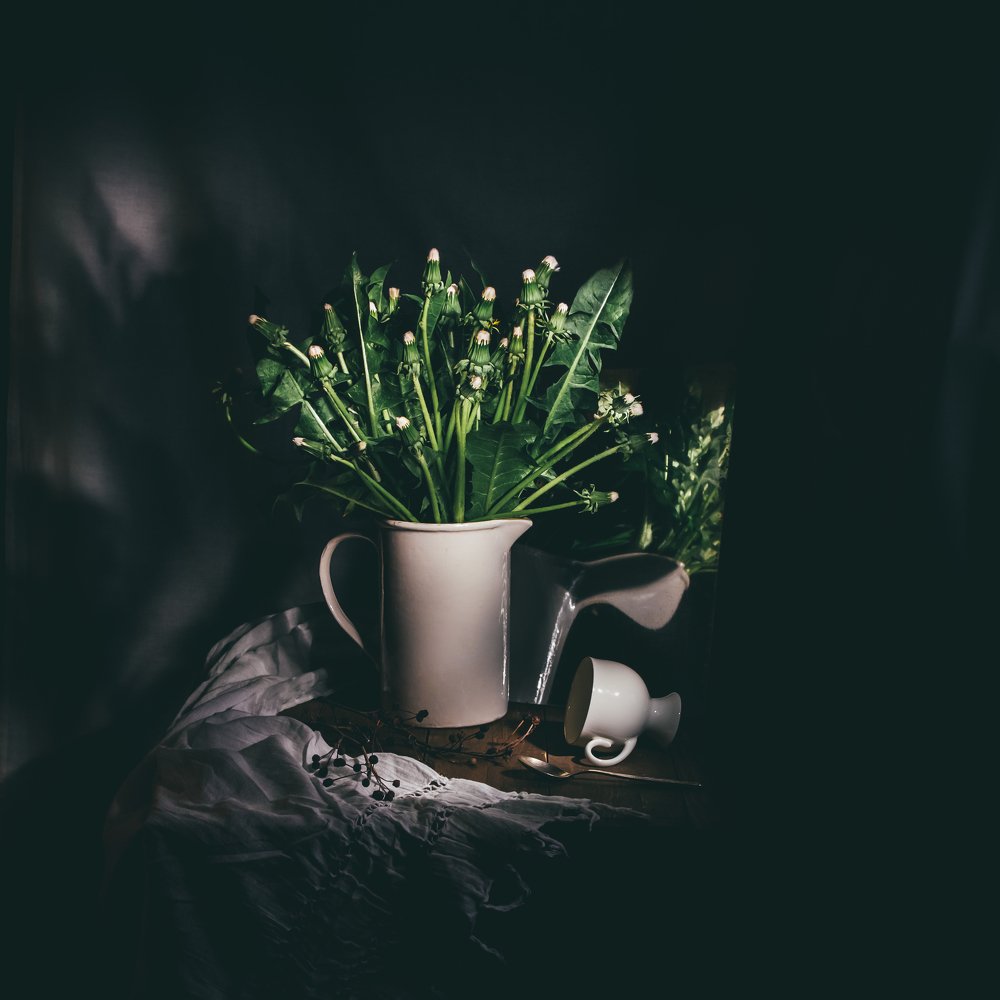 Одуванчики