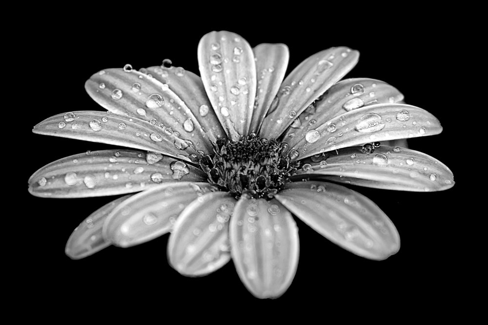 Photograph by Kiril Mucevski