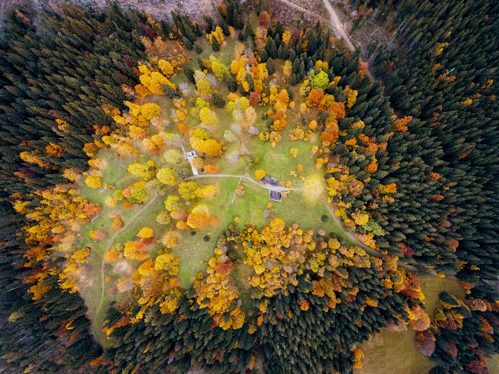 In the heart of the autumn