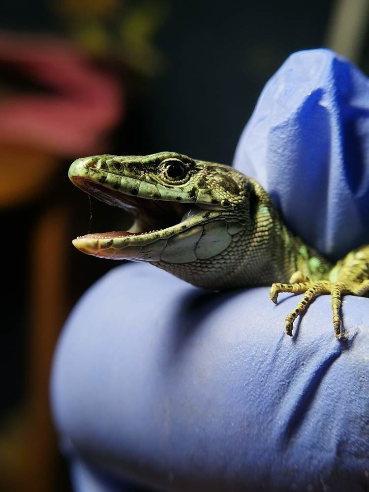 Photograph by Ирина Сметанина