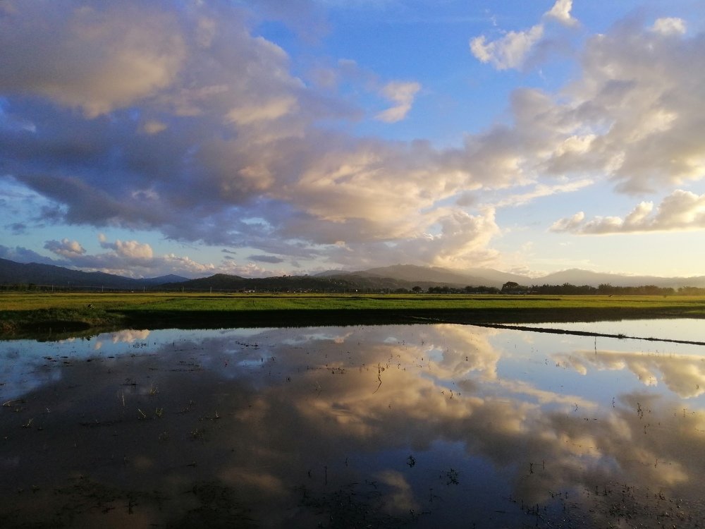 Photo #4852706