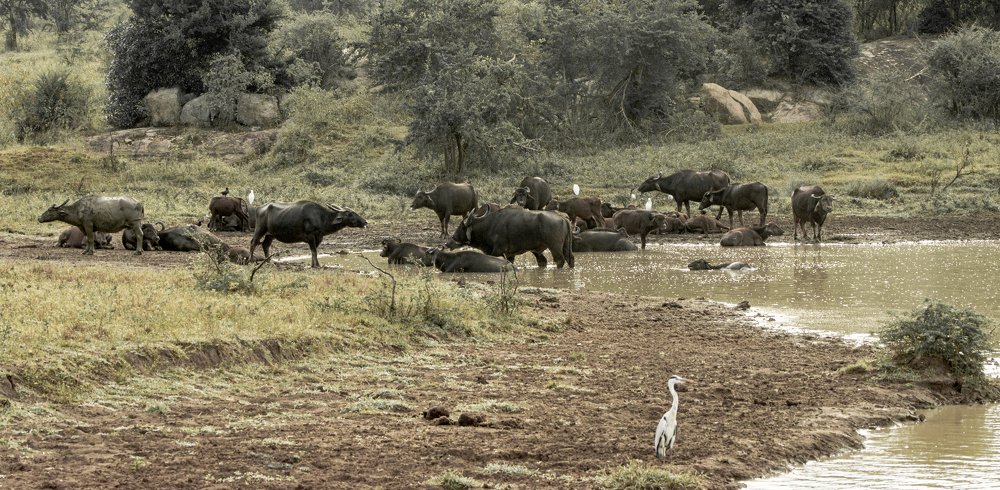 Photograph by Klaus Tesching