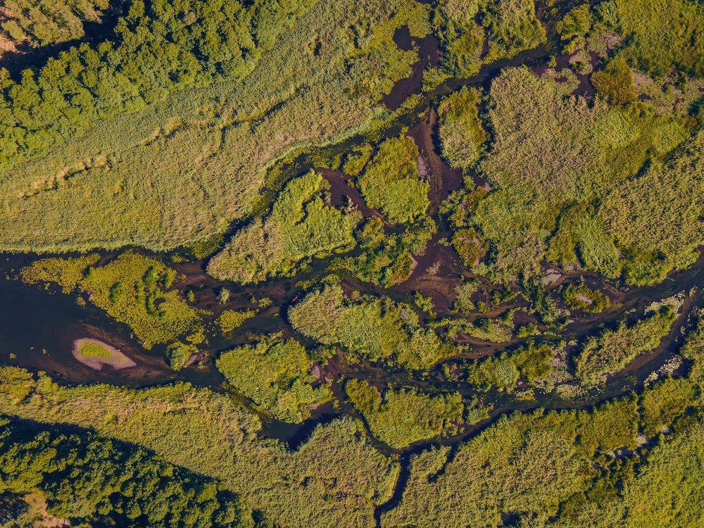 Photograph by Anton Werner