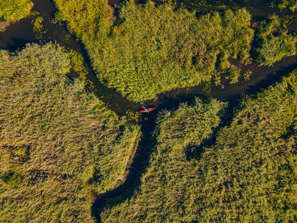 Photograph by Anton Werner