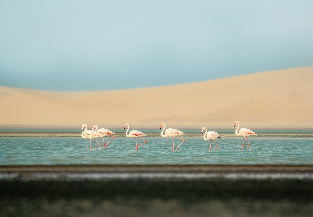 Фотография автора Vishnu Gopal