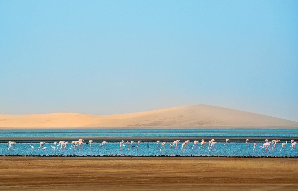 Фотография автора Vishnu Gopal