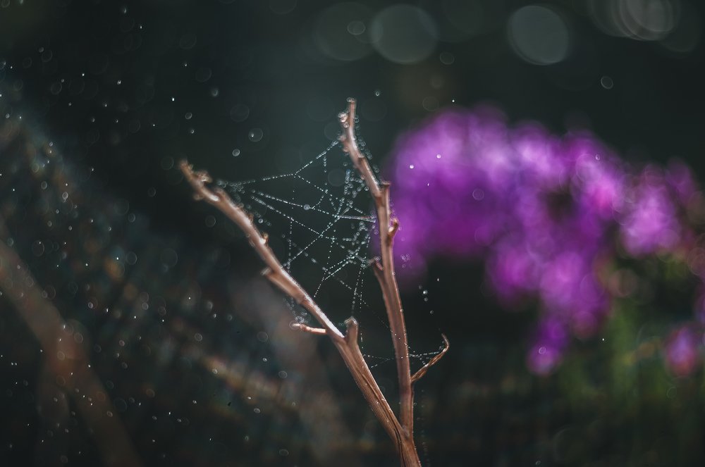 Photograph by Динара Зуйкова