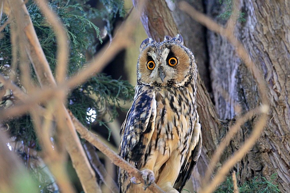 Photograph by Debbie Strauss