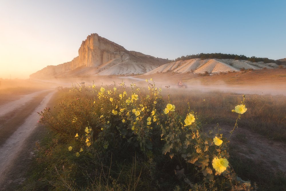 Photograph by Oleg Feofanov