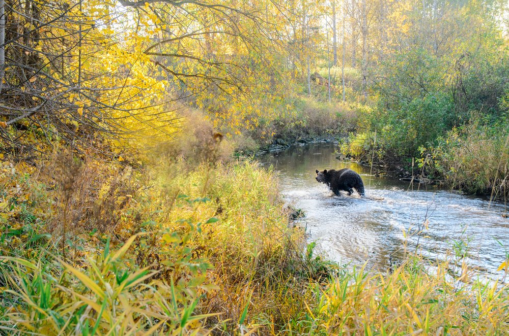 Photograph by Светлана Кондратьева