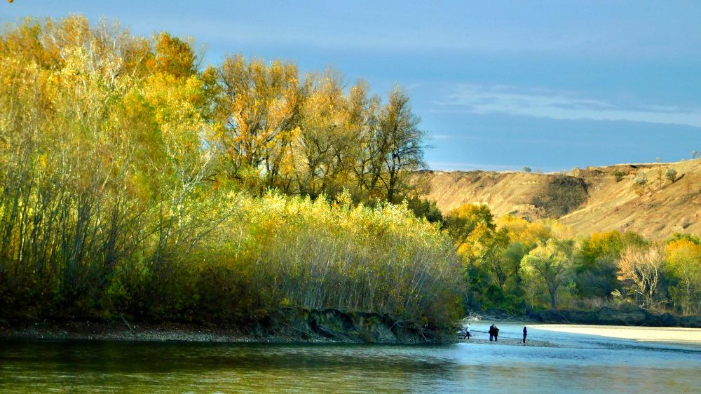 Photograph by Светлана Карпенко