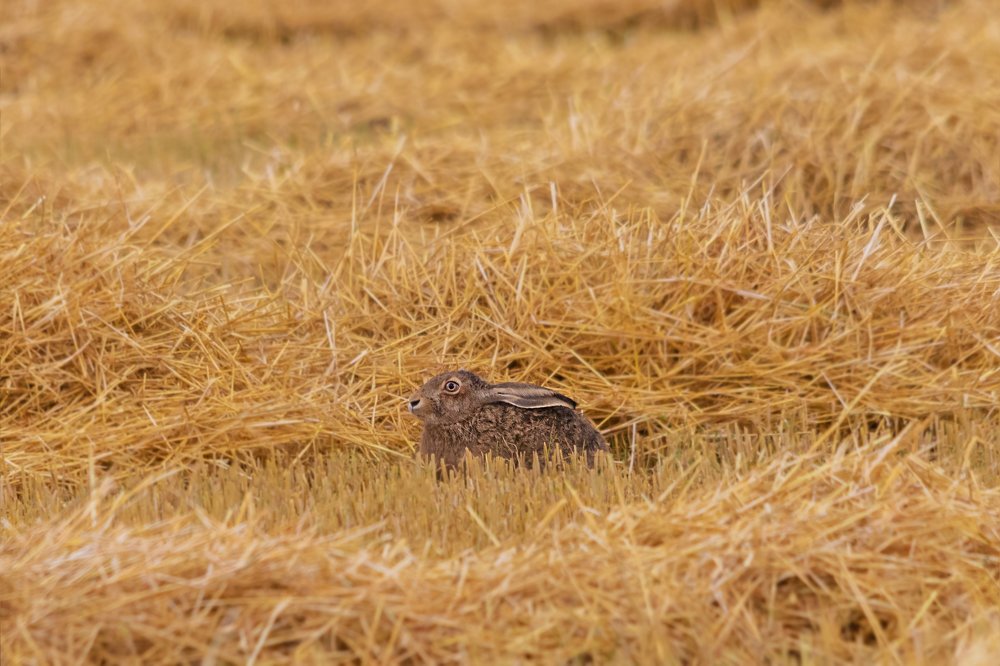 Photograph by Дмитрий Чудинин
