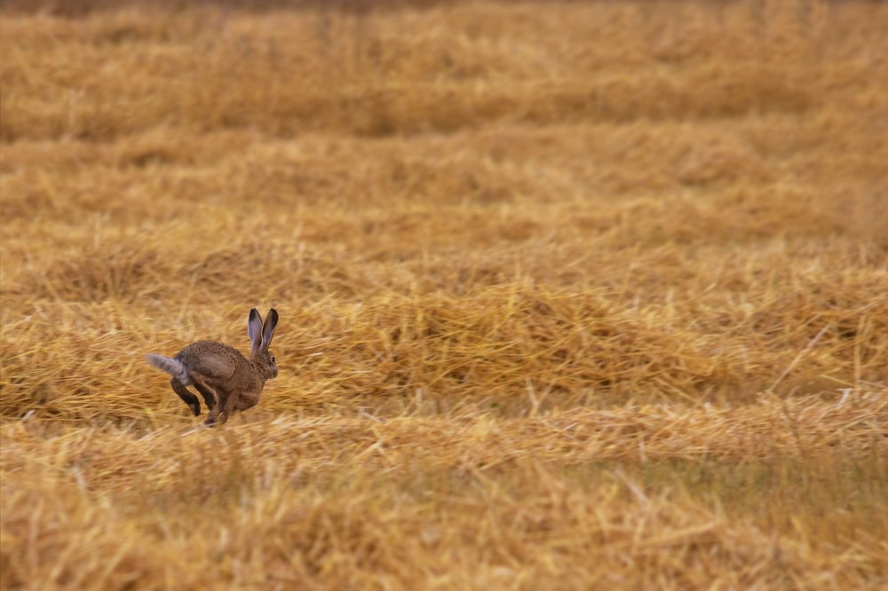 Photograph by Дмитрий Чудинин