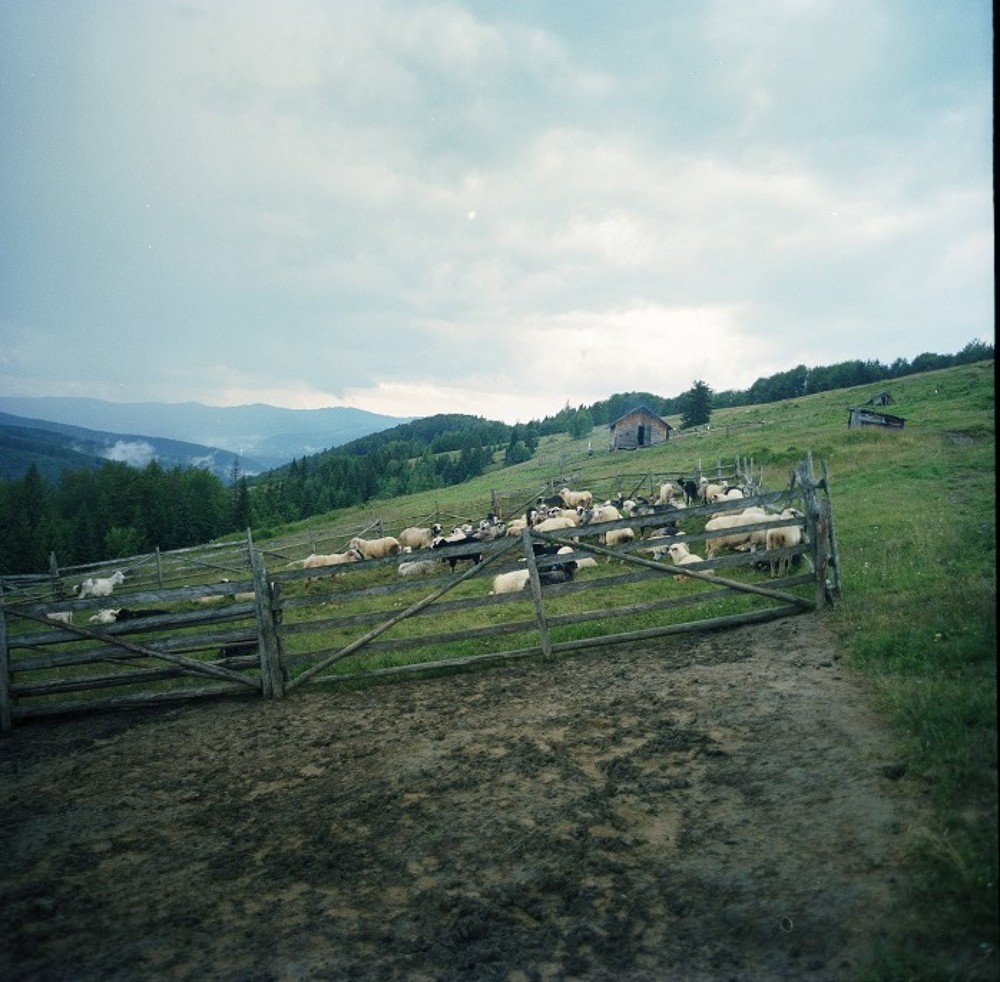 Photograph by Сергей Аракелов