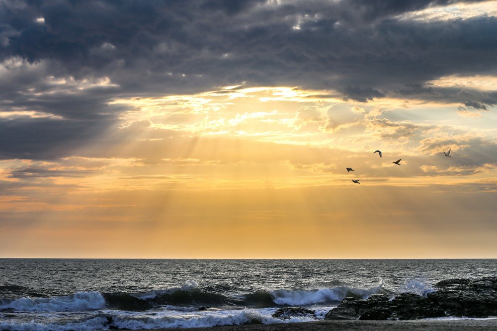 Photograph by Дмитрий Рябченко