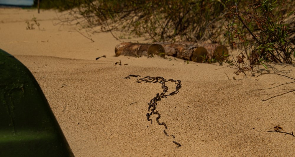 Photograph by Aleksei Degtjarjov