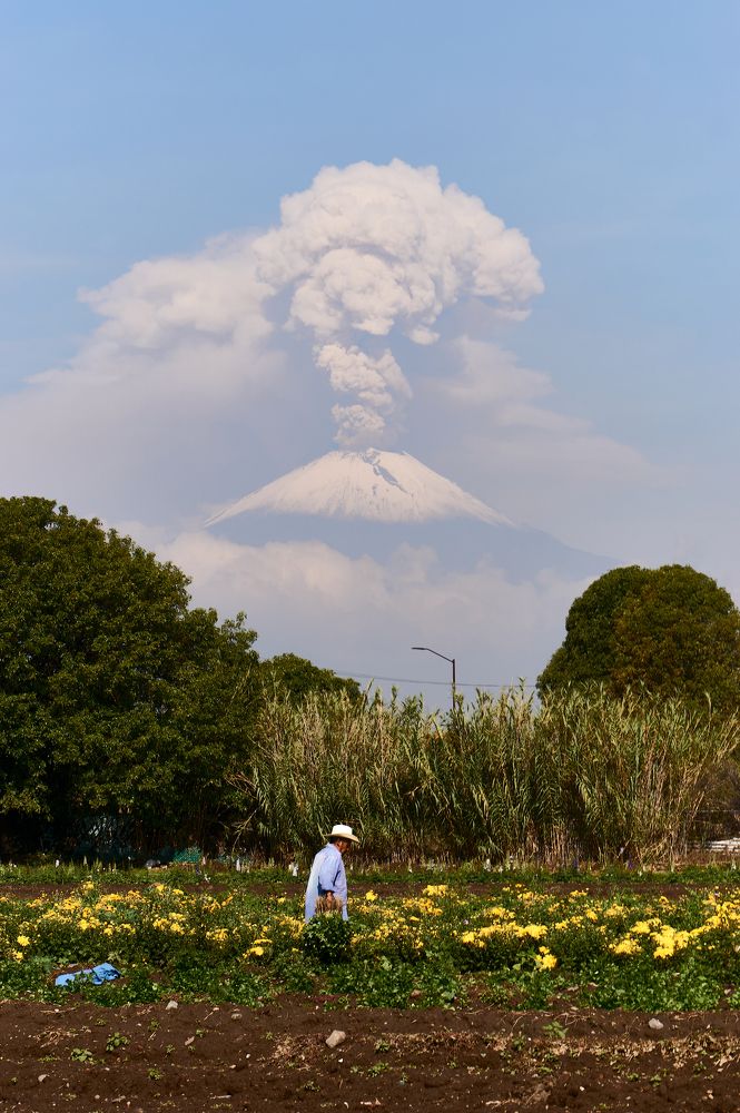 Photograph by Fernando izaguirre