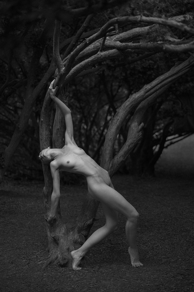 Photograph by Ирина Власюк