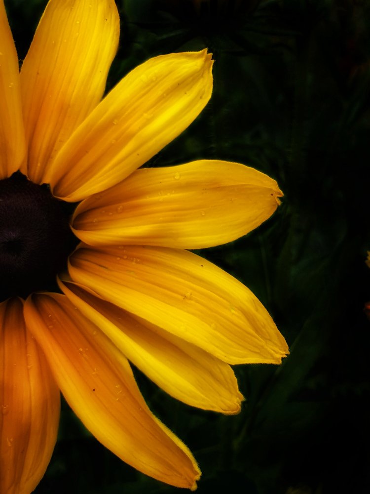 Photograph by Татьяна Галкина